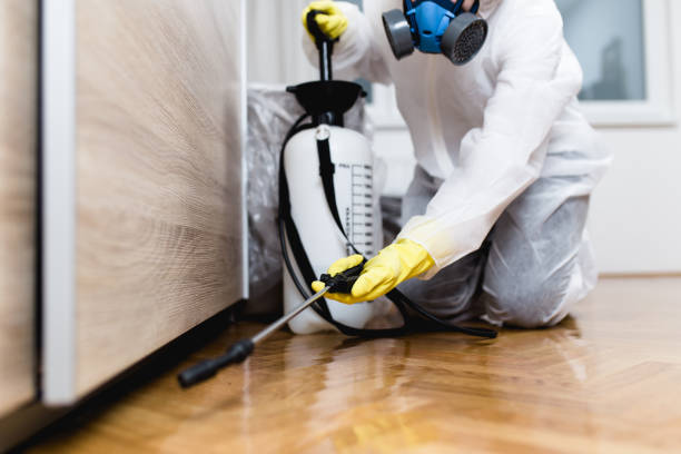 Best Flea Control Services  in Elmwood Park, NJ