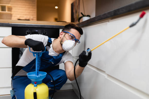 Best Commercial Pest Control Services  in Elmwood Park, NJ