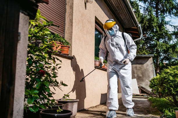 Best Wildlife Control Services  in Elmwood Park, NJ