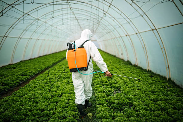 Best Pest Prevention Services  in Elmwood Park, NJ