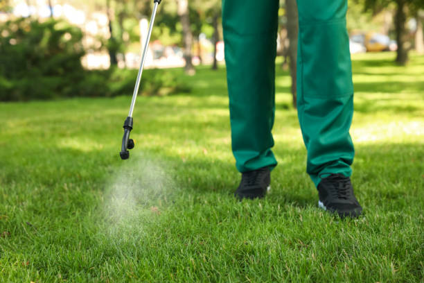 Best Termite Control Services  in Elmwood Park, NJ