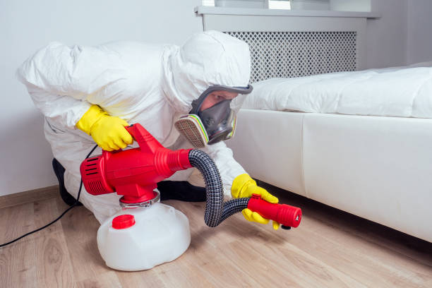 Best Local Pest Control Services  in Elmwood Park, NJ