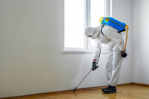 Best Exterminator Services  in Elmwood Park, NJ