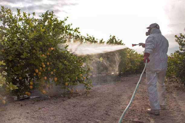 Pest Prevention Services in Elmwood Park, NJ