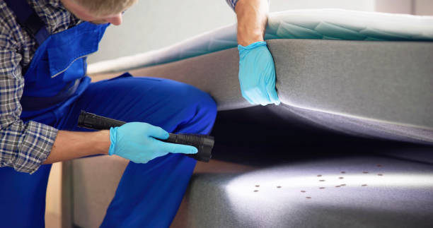 Best Mosquito Control Services  in Elmwood Park, NJ