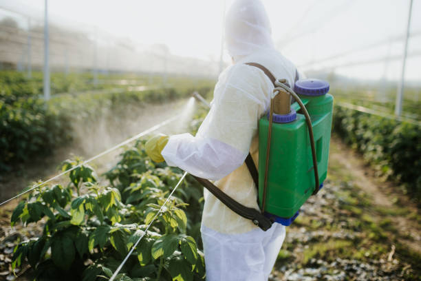 Best Affordable Pest Control Services  in Elmwood Park, NJ